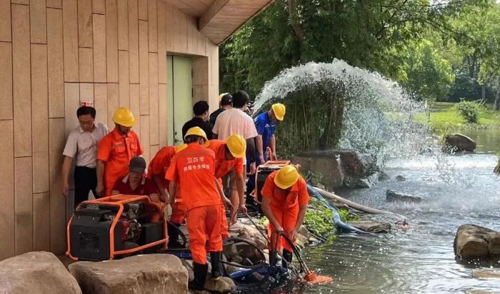 實戰(zhàn)演練,筑牢防汛防臺安全底線
