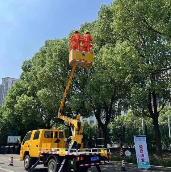 實戰(zhàn)演練,筑牢防汛防臺安全底線